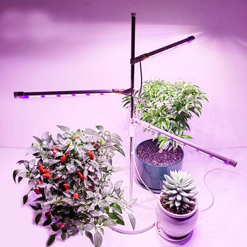Led лампа за отглеждане на стайни растения, червено, синьо, 4000 К, лампа за отглеждане на растения на пълна гама, с тайммером за хидропоника разсад, цветя, билки